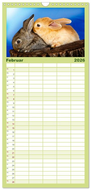 Produktbild: Familienplaner 2026 - Lustige Kaninchen mit 5 Spalten (Wandkalender, 21 x 45 cm) CALVENDO