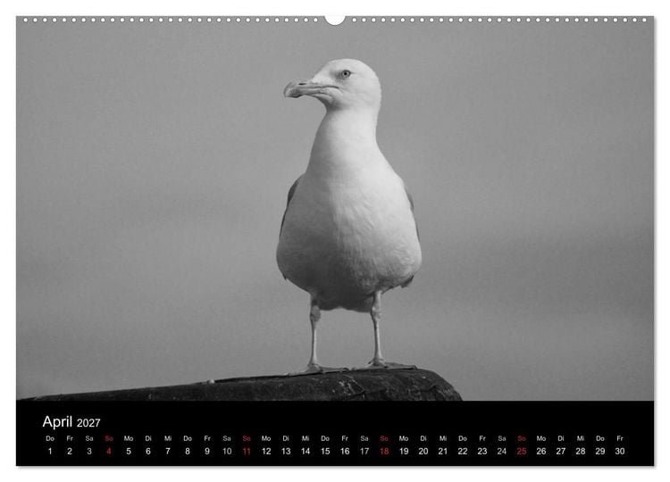 Produktbild: Willkommen in Cuxhaven (Wandkalender 2027 DIN A2 quer), CALVENDO Monatskalender