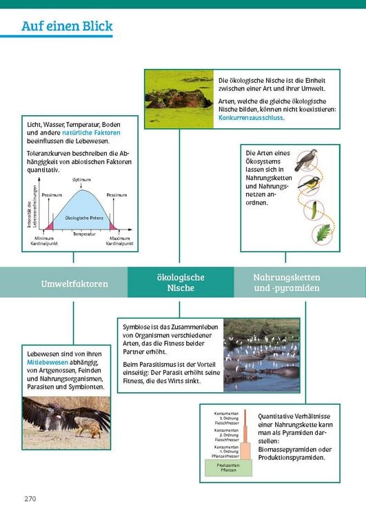 Produktbild: Klett Sicher im Abi Biologie