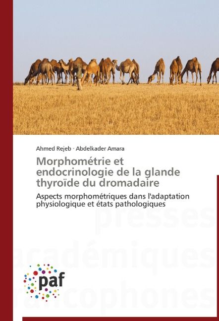 Produktbild: Rejeb, A: Morphom&eacute;trie et endocrinologie de la glande thyro&iuml;
