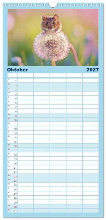 Produktbild: Familienplaner 2027 - Zwischen den Feldern mit 5 Spalten (Wandkalender, 21 x 45 cm) CALVENDO