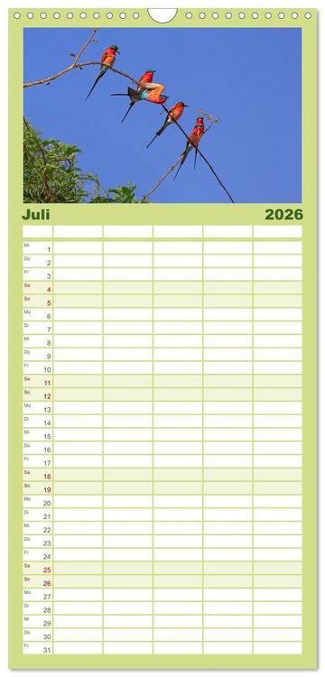 Produktbild: Familienplaner 2026 - Sambias gro&szlig;artige Tierwelt mit 5 Spalten (Wandkalender, 21 x 45 cm) CALVENDO