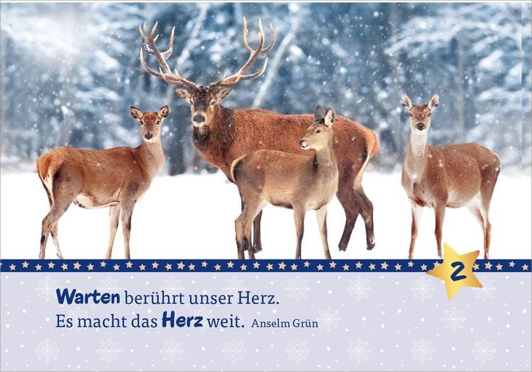 Produktbild: Hosentaschenadventskalender 2026 - mit Fotos