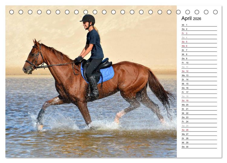 Produktbild: Mein Reitsport Kalender (Tischkalender 2026 DIN A5 quer), CALVENDO Monatskalender