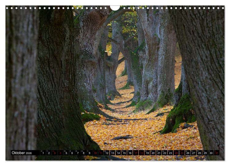 Produktbild: Rund um die Teck (Wandkalender 2026 DIN A3 quer), CALVENDO Monatskalender