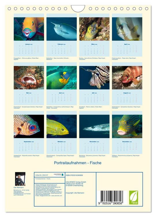 Produktbild: Portraitaufnahmen - Fische (Wandkalender 2026 DIN A4 hoch), CALVENDO Monatskalender