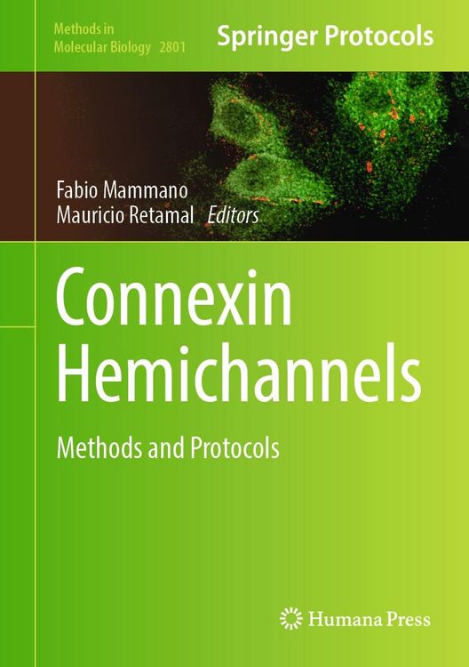 Produktbild: Connexin Hemichannels