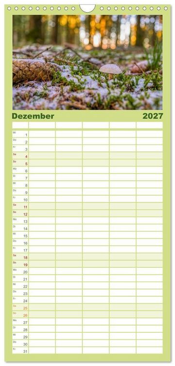Produktbild: Familienplaner 2027 - Vielfalt am Waldboden mit 5 Spalten (Wandkalender, 21 x 45 cm) CALVENDO