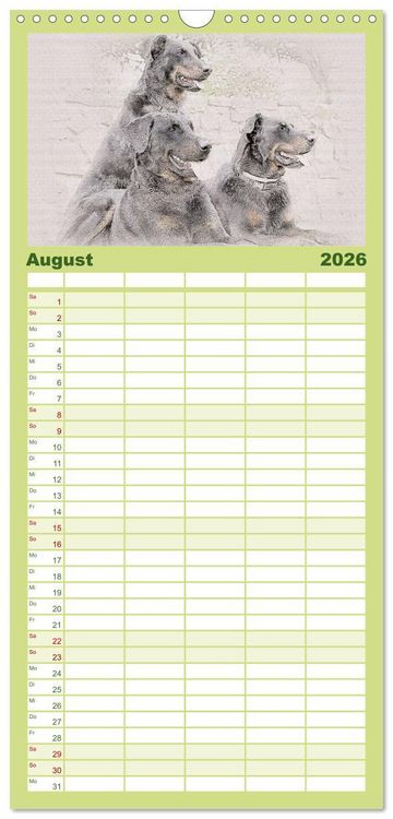 Produktbild: Familienplaner 2026 - Franz&ouml;sische Hirtenhunde 2026 mit 5 Spalten (Wandkalender, 21 x 45 cm) CALVENDO