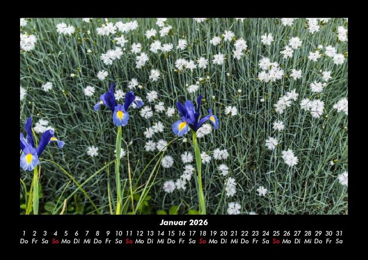 Produktbild: Blumenkalender 2026 Fotokalender DIN A3