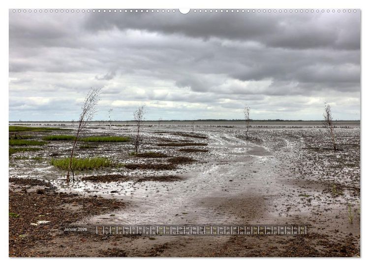 Produktbild: Mand&oslash; - Perle im d&auml;nischen Wattenmeer (Wandkalender 2026 DIN A2 quer), CALVENDO Monatskalender