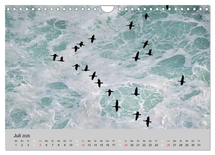 Produktbild: Momente in S&uuml;dafrika (Wandkalender 2026 DIN A4 quer), CALVENDO Monatskalender
