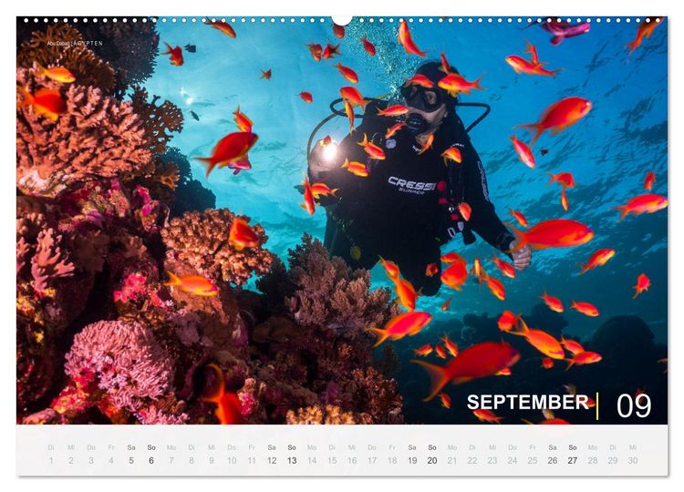 Produktbild: Einfach Tauchen - Wunderbare Tauchpl&auml;tze und Korallenriffe (Wandkalender 2026 DIN A2 quer), CALVENDO Monatskalender