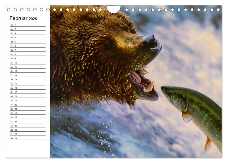 Produktbild: Alaska und Kanada (Wandkalender 2026 DIN A4 quer), CALVENDO Monatskalender