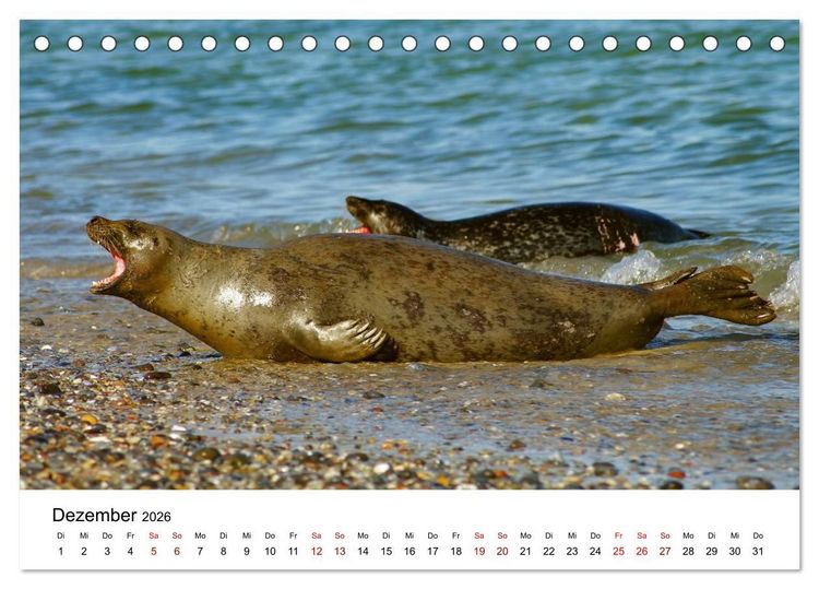 Produktbild: HELGOLAND: Nordseeinsel, sch&ouml;ner Ferienort (Tischkalender 2026 DIN A5 quer), CALVENDO Monatskalender