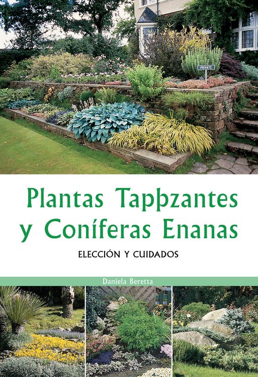 Produktbild: Plantas tapizantes y con&iacute;feras enanas