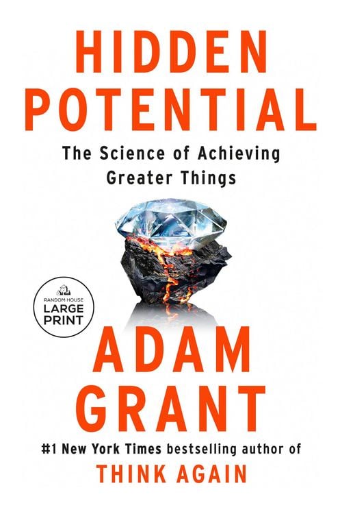 Produktbild: Hidden Potential
