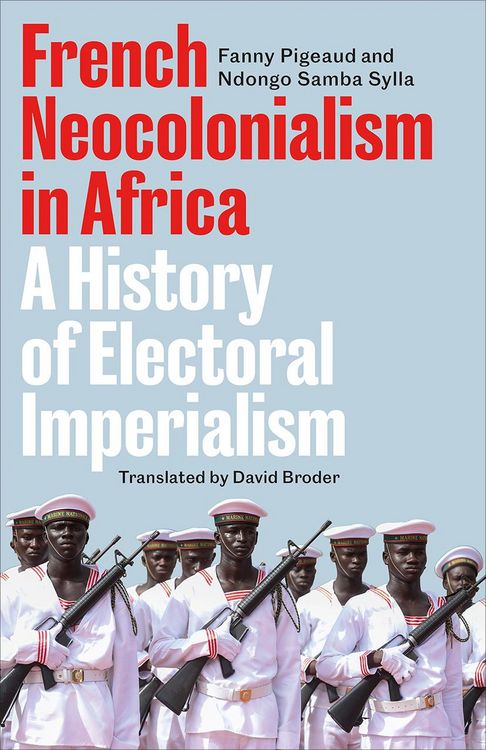 Produktbild: French Neocolonialism in Africa
