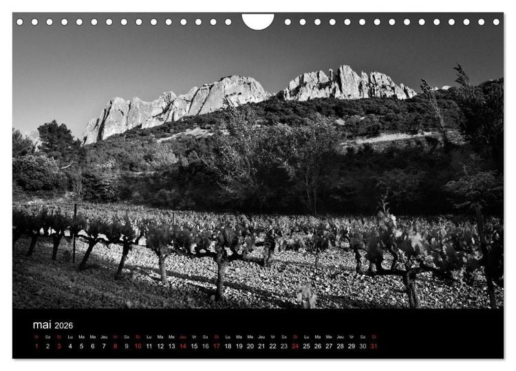 Produktbild: VIGNES DU SUD terroirs d'AOC (Calendrier mural 2026 DIN A4 vertical), CALVENDO calendrier mensuel