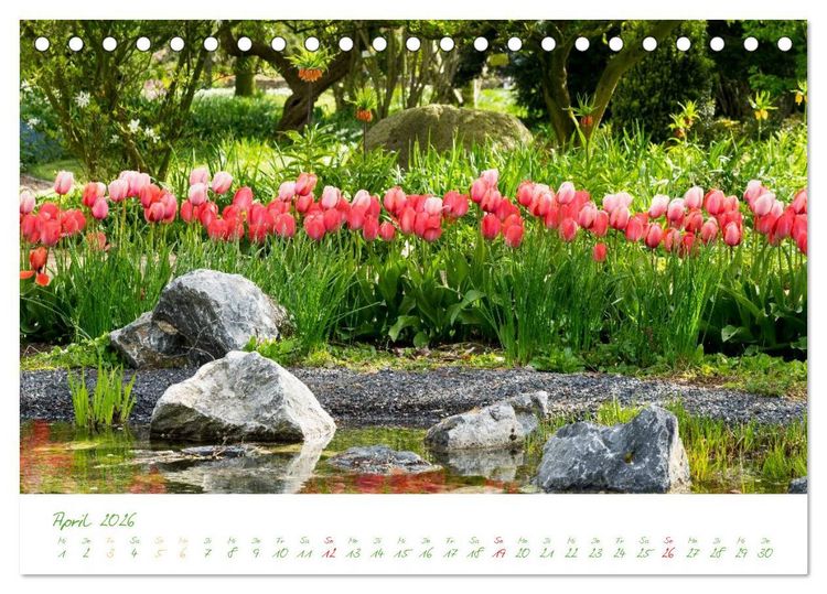 Produktbild: Kreislehrgarten in Steinfurt (Tischkalender 2026 DIN A5 quer), CALVENDO Monatskalender