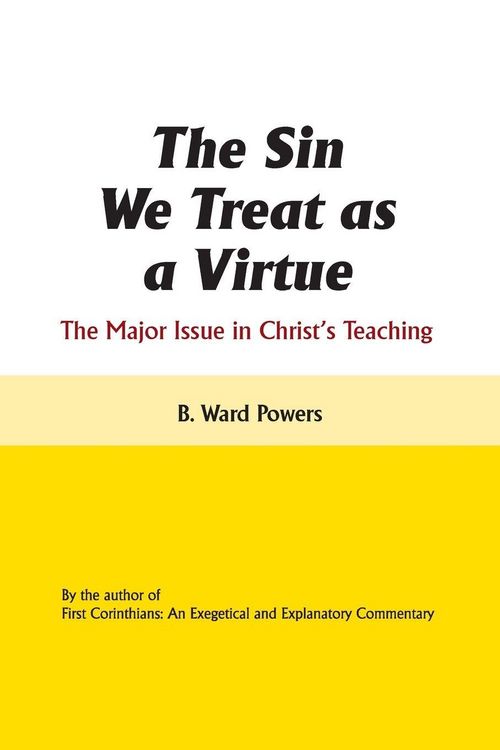 Produktbild: The Sin We Treat as a Virtue