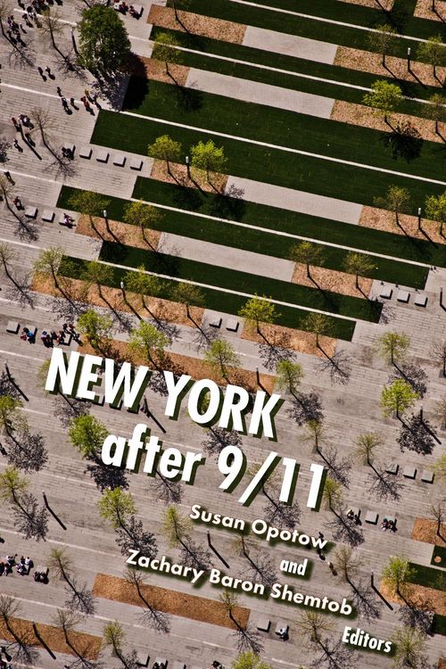 Produktbild: New York After 9/11