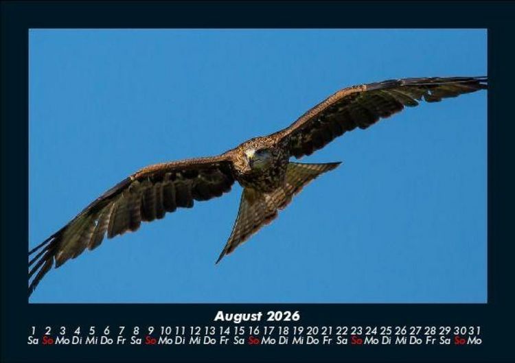 Produktbild: Adler 2026 Fotokalender DIN A5