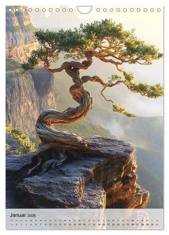 Produktbild: Die stille Kraft des Bonsai (Wandkalender 2026 DIN A4 hoch), CALVENDO Monatskalender