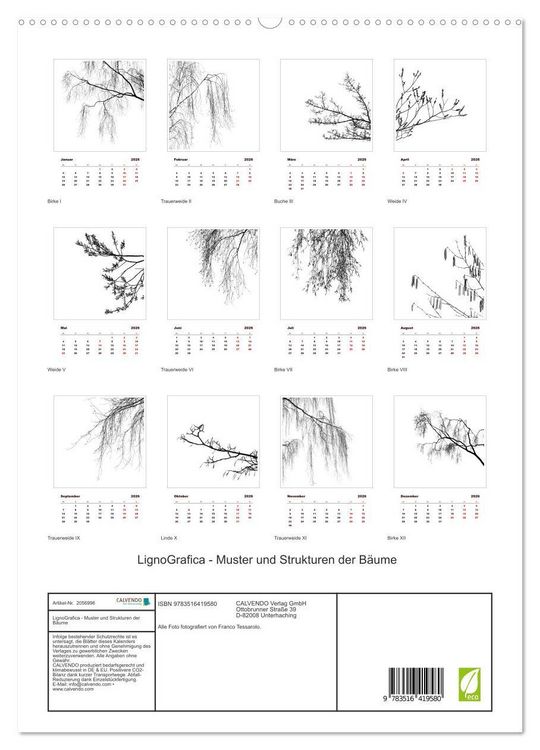 Produktbild: LignoGrafica - Muster und Strukturen der B&auml;ume (hochwertiger Premium Wandkalender 2026 DIN A2 hoch), Kunstdruck in Hochglanz