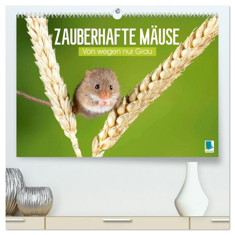 Produktbild: Zauberhafte M&auml;use: Von wegen nur Grau (hochwertiger Premium Wandkalender 2026 DIN A2 quer), Kunstdruck in Hochglanz