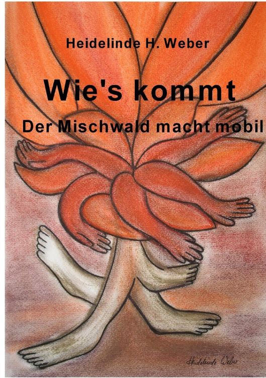 Produktbild: Wie's kommt