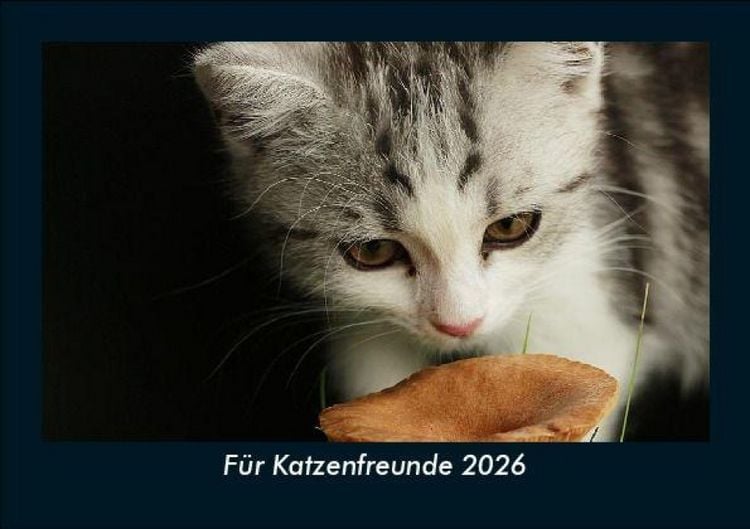 Produktbild: F&uuml;r Katzenfreunde 2026 Fotokalender DIN A5