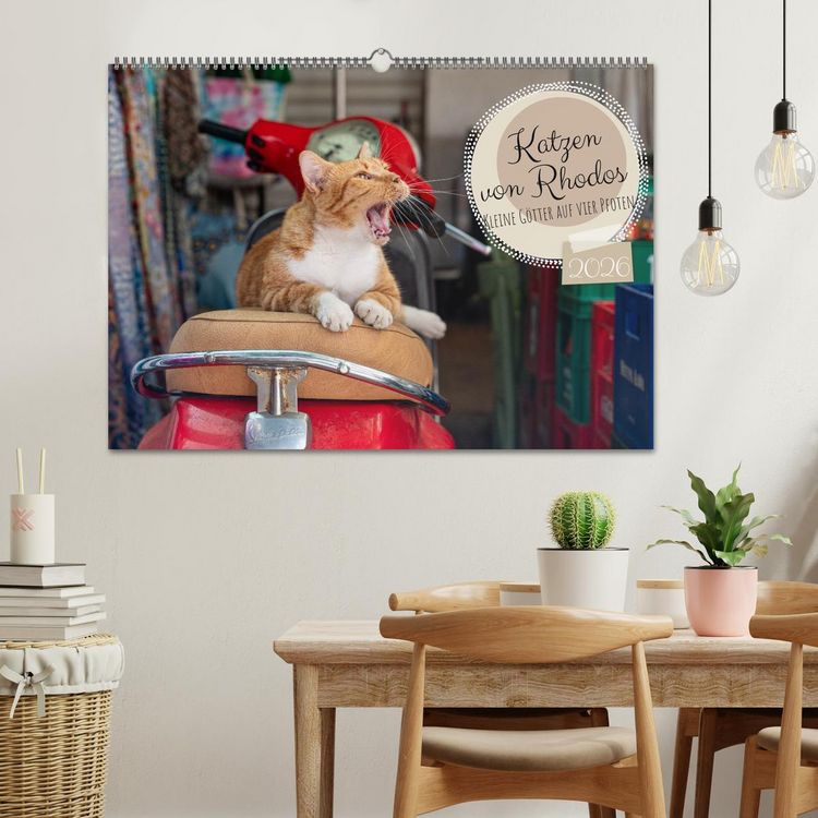 Produktbild: Katzen von Rhodos - Kleine G&ouml;tter auf vier Pfoten (Wandkalender 2026 DIN A2 quer), CALVENDO Monatskalender