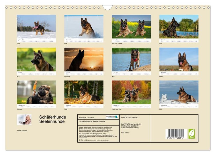 Produktbild: Sch&auml;ferhunde Seelenhunde (Wandkalender 2026 DIN A3 quer), CALVENDO Monatskalender