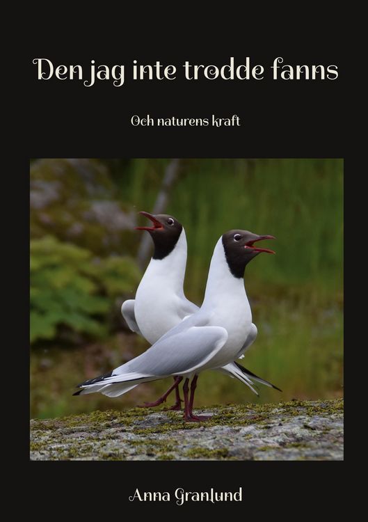 Produktbild: Den jag inte trodde fanns