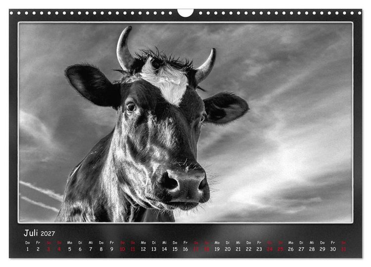 Produktbild: Tieren ins Gesicht geschaut (Wandkalender 2027 DIN A3 quer), CALVENDO Monatskalender