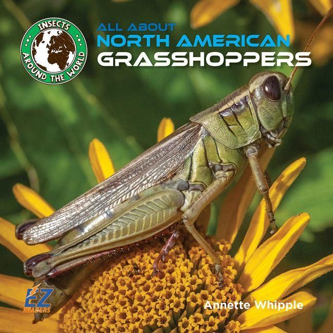 Produktbild: All about North American Grasshoppers