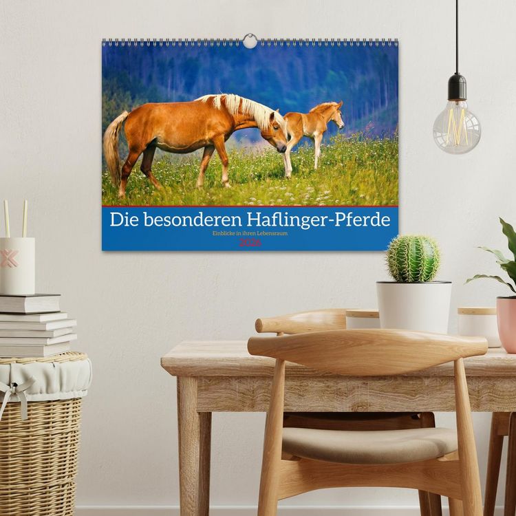 Produktbild: Die besonderen Haflinger-Pferde (Wandkalender 2026 DIN A3 quer), CALVENDO Monatskalender