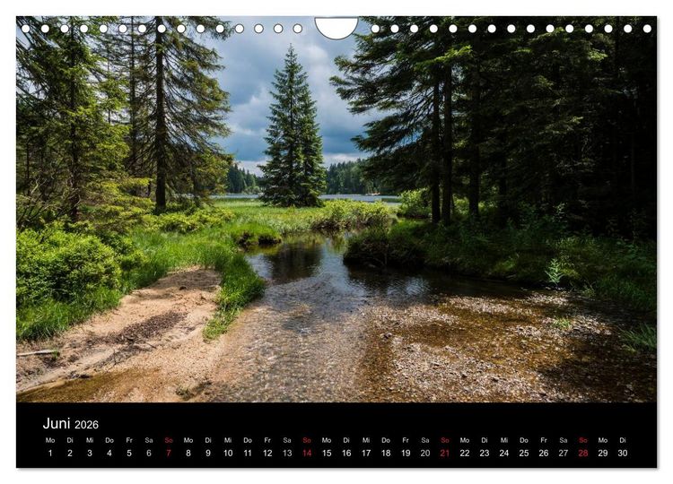 Produktbild: Bayerischer Wald (Wandkalender 2026 DIN A4 quer), CALVENDO Monatskalender