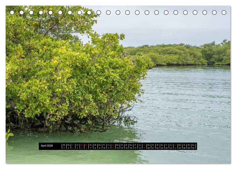 Produktbild: Galapagos- Landschaften (Tischkalender 2026 DIN A5 quer), CALVENDO Monatskalender