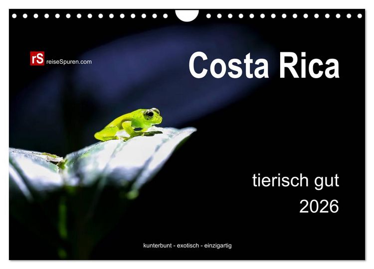 Produktbild: Costa Rica tierisch gut 2026 (Wandkalender 2026 DIN A4 quer), CALVENDO Monatskalender