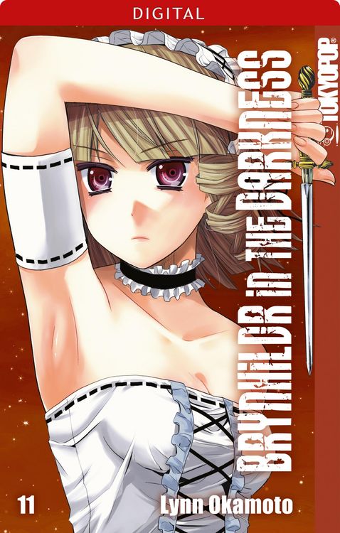 Produktbild: Brynhildr in the Darkness 11