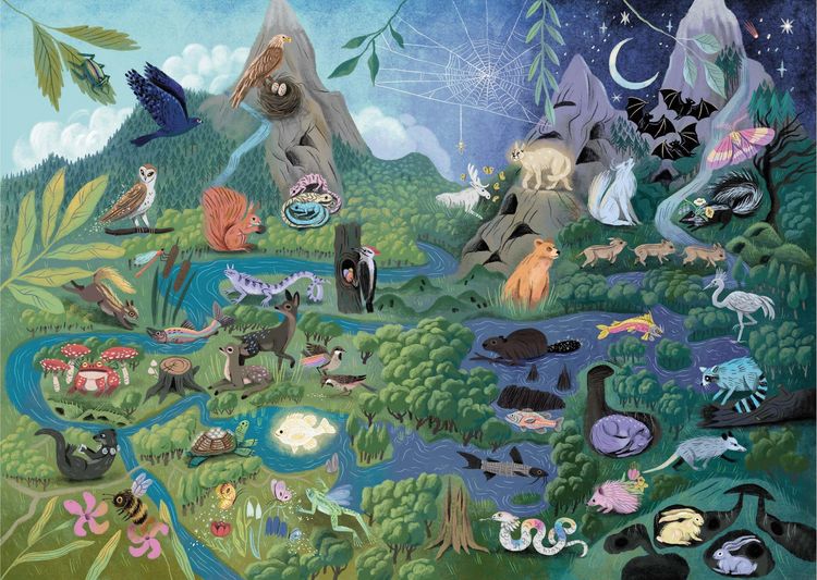 Produktbild: How to Spot a Magical Woodland Creature