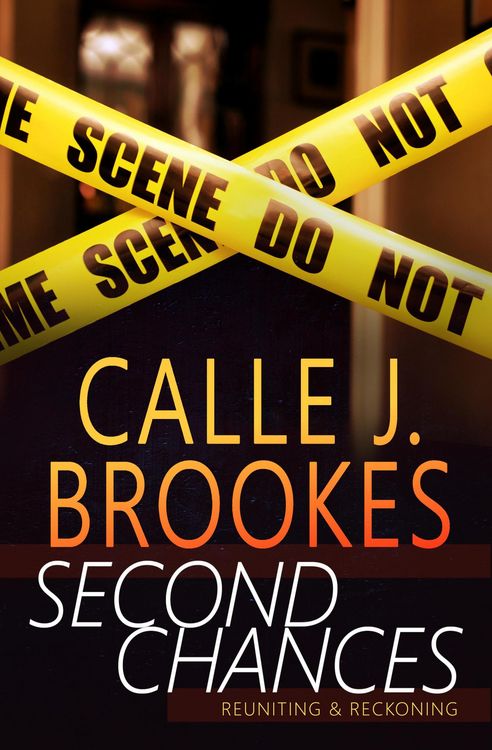 Produktbild: Second Chances: A PAVAD Duet (PAVAD: FBI Romantic Suspense, #5)