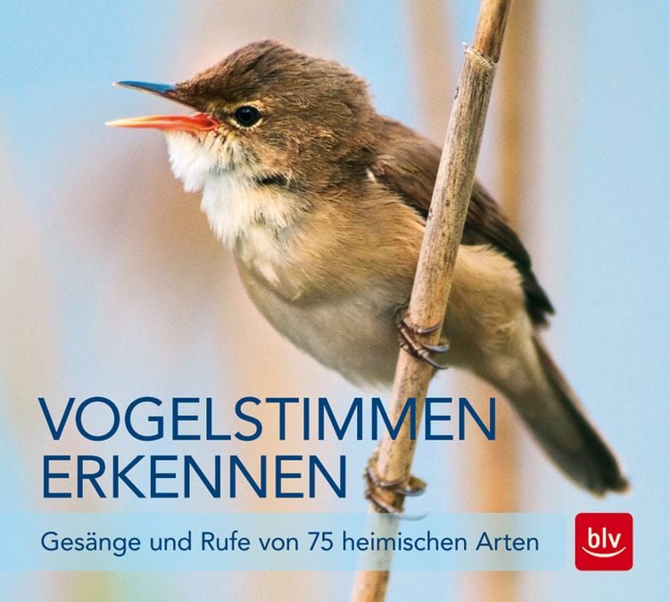 Produktbild: Vogelstimmen erkennen / CD