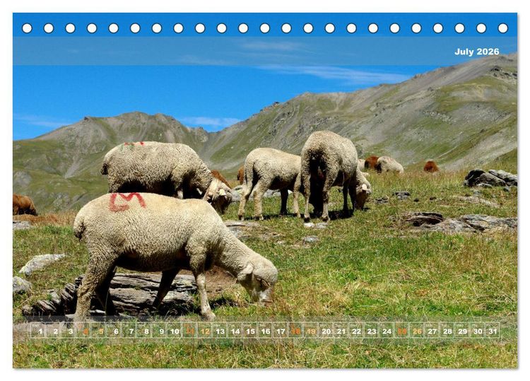 Produktbild: Natural landscape of France (Desk Calendar 2026 DIN A5 landscape), CALVENDO 12 Month DeskCalendar