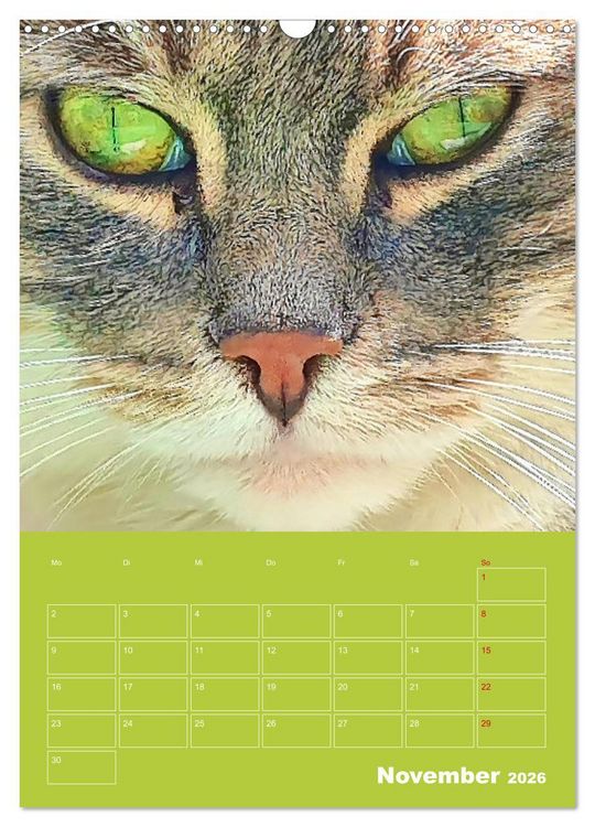 Produktbild: Cat Faces - Charakterstarke Katzengesichter ganz nah (Wandkalender 2026 DIN A3 hoch), CALVENDO Monatskalender