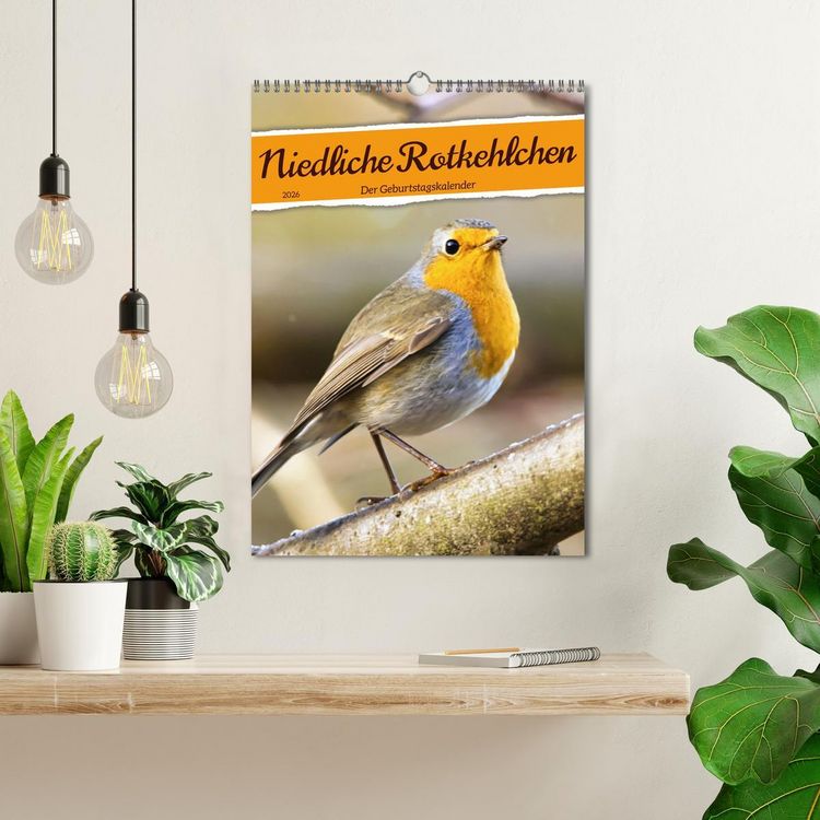 Produktbild: Niedliche Rotkehlchen (Wandkalender 2026 DIN A3 hoch), CALVENDO Monatskalender