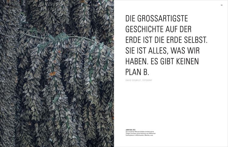 Produktbild: Ikonen der Fotografie