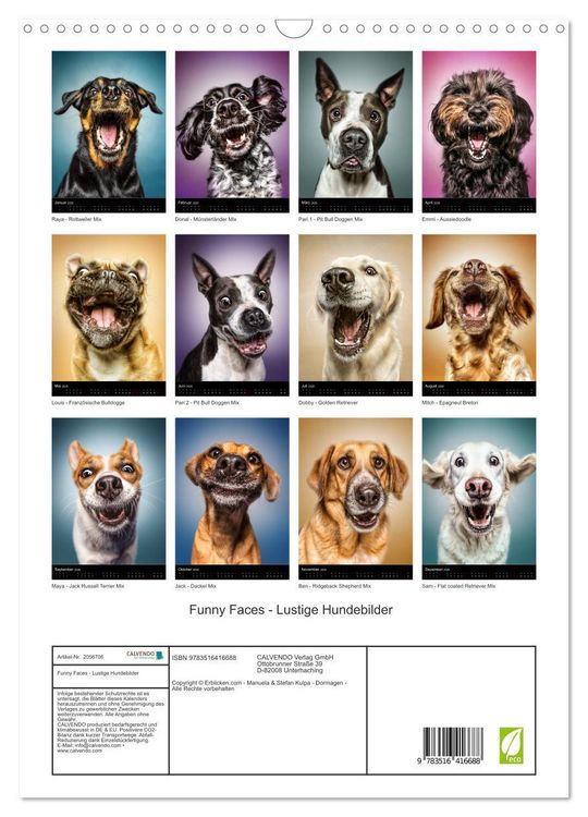 Produktbild: Funny Faces - Lustige Hundebilder (Wandkalender 2026 DIN A3 hoch), CALVENDO Monatskalender